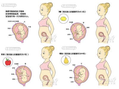 怀孕24周有哪些征兆
