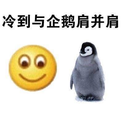 天气冷了撩人情话