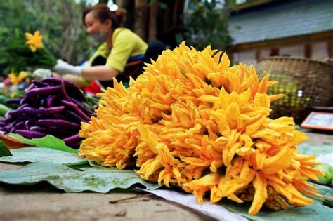 可食用的花