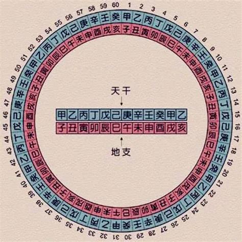 2023年到2030 五行分析