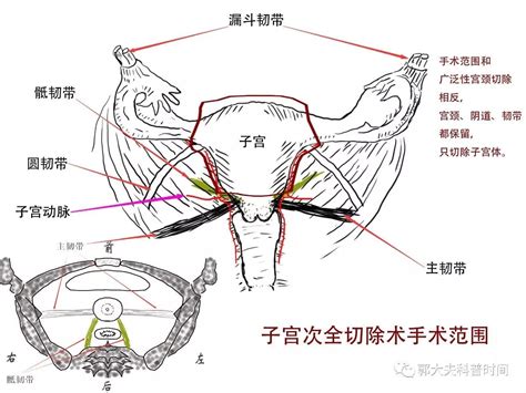 子宫胀胀的有下坠感