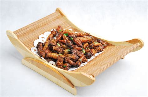 雄蚕酒功效与作用