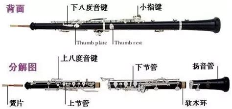 黑管有单簧管有什么 区别？请说仔细点。谢谢