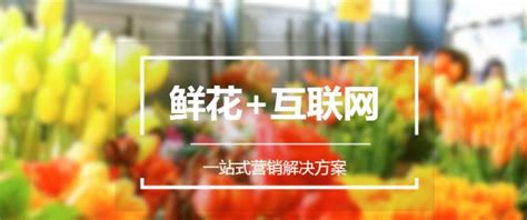 学校用230元钱去买10盆花,菊花25元,仙人掌16元,水仙花20元,百合花18元,有几种购买方法?