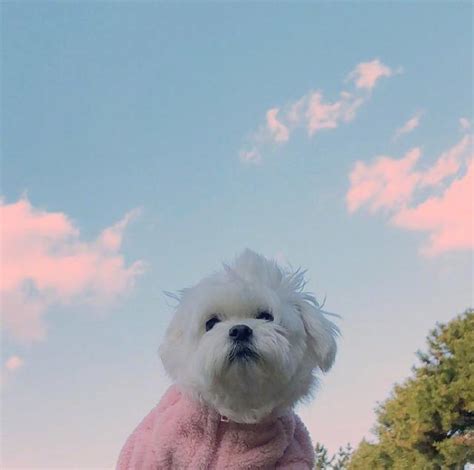 2022朋友圈精辟短语语录