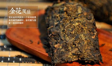 黑茶价格一斤多少钱