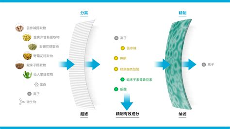 长期使用魅体MEITI草本能量膜可以改善新陈代谢缓慢的情况吗?