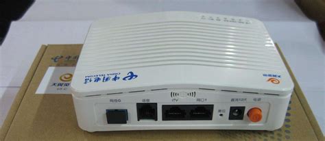 電腦光貓合普通貓外觀有什么區(qū)別?我分不清自己家是什么貓