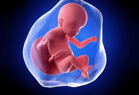 怀孕五个月发现缺氧怎么办