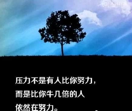 没有业绩的幽默句子发朋友圈