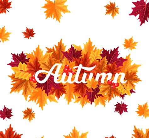 秋天的树叶-描写树叶的作文500字【摘抄6篇】