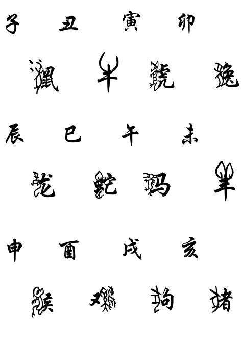 鹤字代表哪一个生肖