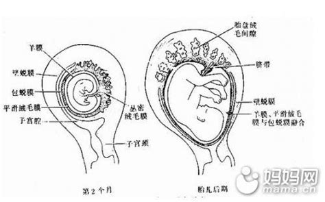 孕37周胎盘还是一级正常吗