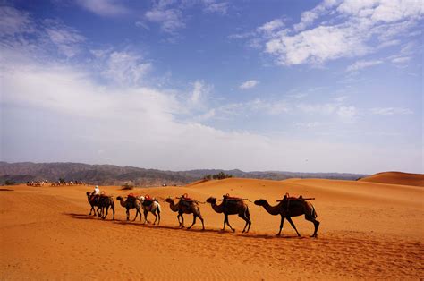 中国最“金贵”沙漠，日本人曾想用一斤米换一斤沙