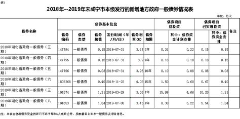 一般债券和专项债券项目