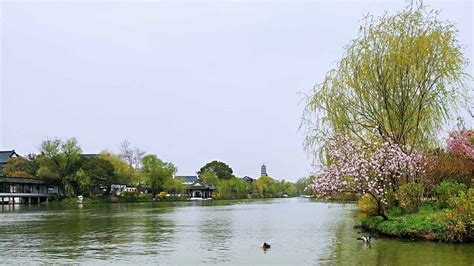 故人西辞黄鹤楼烟花三月下扬州的诗意是什么