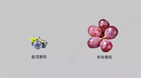 市面上3、4塊錢的瓶裝葡萄汁喝多對身體有影響嗎?
