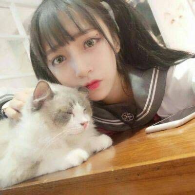 猫系女生和犬系男生配吗