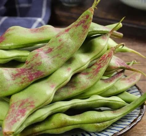 蔬菜的基本营养成分