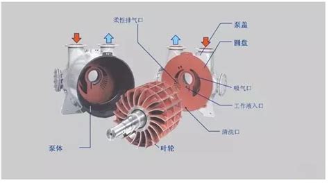 贝壳真空泵维修与保养