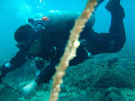 中国游客菲律宾潜水时气瓶被潜水员关闭，对方称开玩笑
