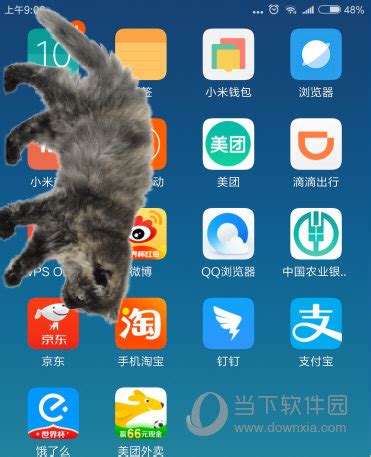 常用的宠物app都有哪些?哪些口碑好?有宠APP口碑怎么样