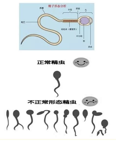 催熟食品会导致不孕吗