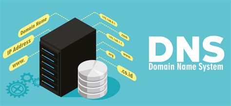 电脑DNS、怎么搞