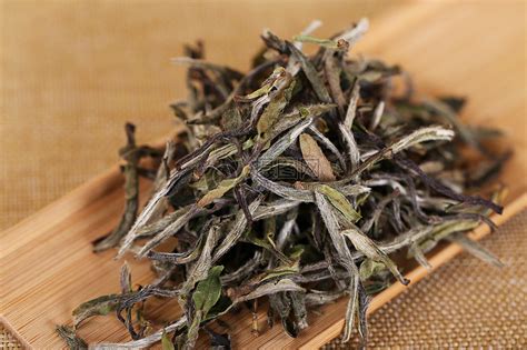 白茶是什么茶？有什么品類呢？