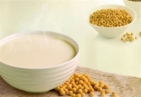豆?jié){機(jī)食譜有哪些 豆?jié){的做法大全