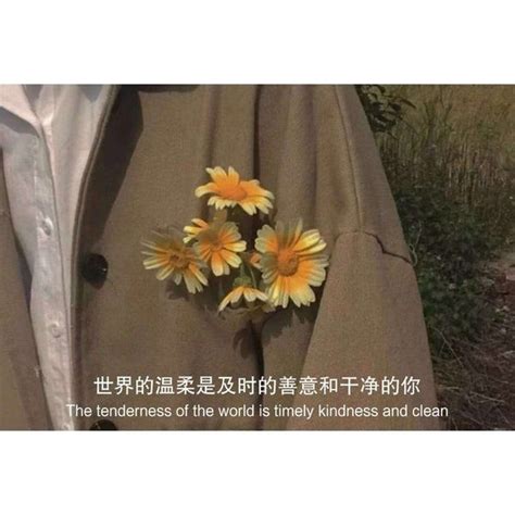 治愈心情的蓝天文案【推荐66条】