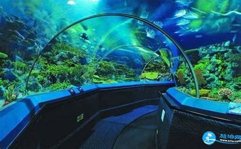 长风海洋世界