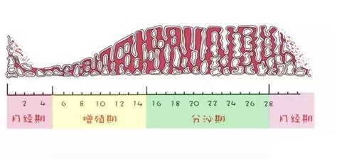 怀孕为什么要跨年