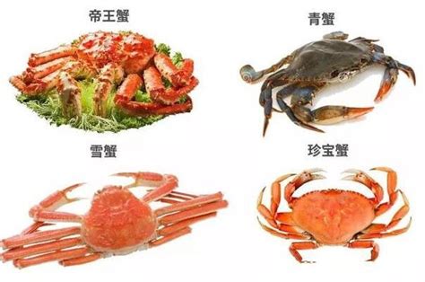 吃螃蟹会导致胚胎停育吗