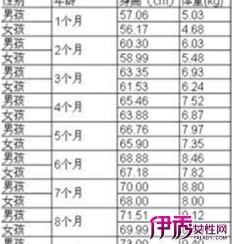 胎儿体重与孕期对照