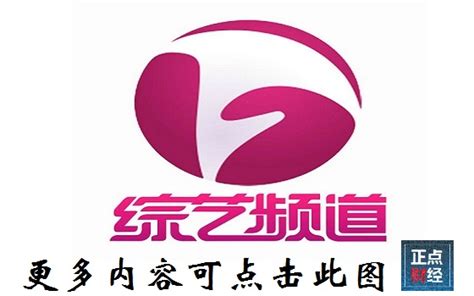 安徽卫视网页
