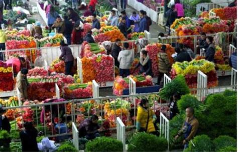 南通哪有花卉市场