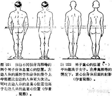 体重不涨也不掉怎么回事