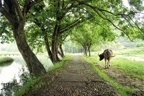漫步山间小路诗句（精选115条）