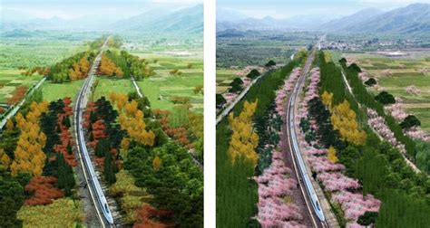 今年北京将再添一趟“开往春天的列车”！串联30余处著名景点