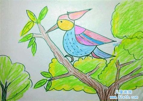 写关于鸟的童话故事