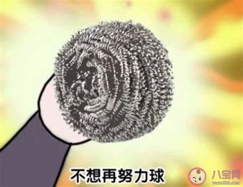 突然相信命运的句子