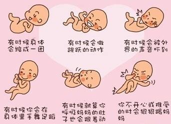 孕16周的胎儿在肚子里干什么