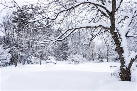 今日大雪节气的说说