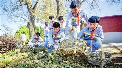 多地规划新增人类辅助生殖机构