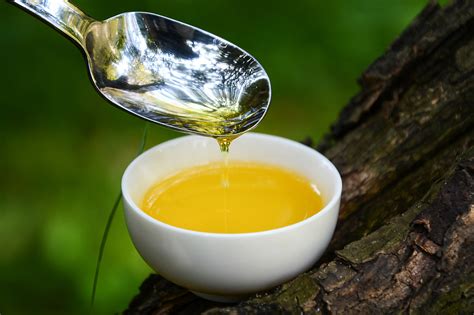 山茶油的功效和作用是什么?