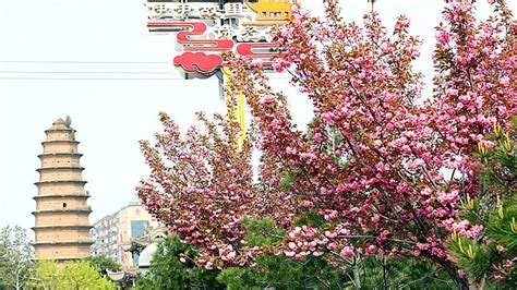 一夜东风,吹开了满树繁花.怎么改被字句