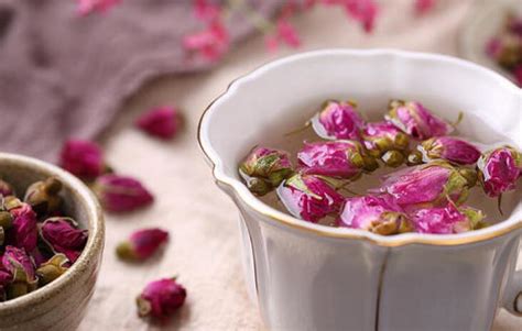 茉莉花茶屬于溫性茶還是涼性茶