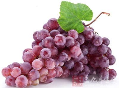 克伦生葡萄的营养价值