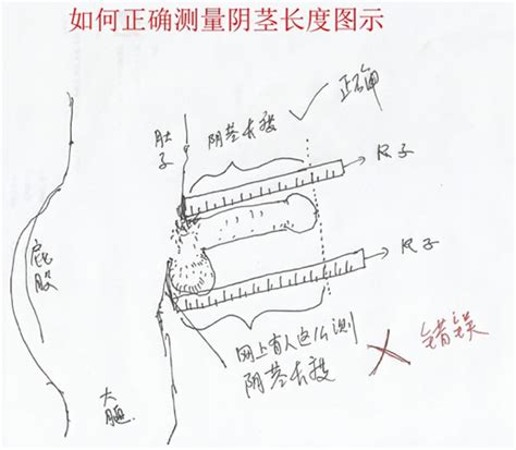 男人55岁算不算老